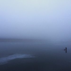 Рыбак в тумане. Автор - Лазарев Андрей