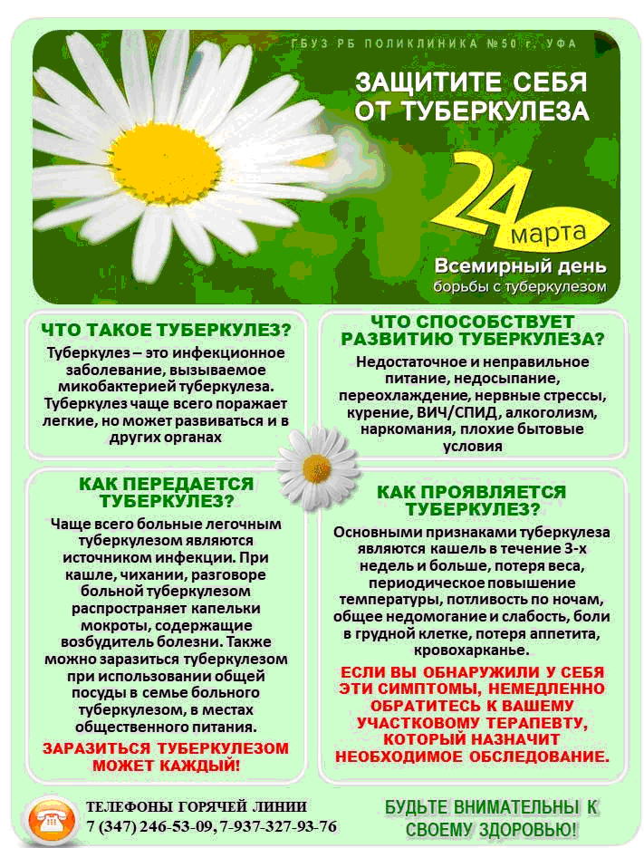 Проект профилактика туберкулеза